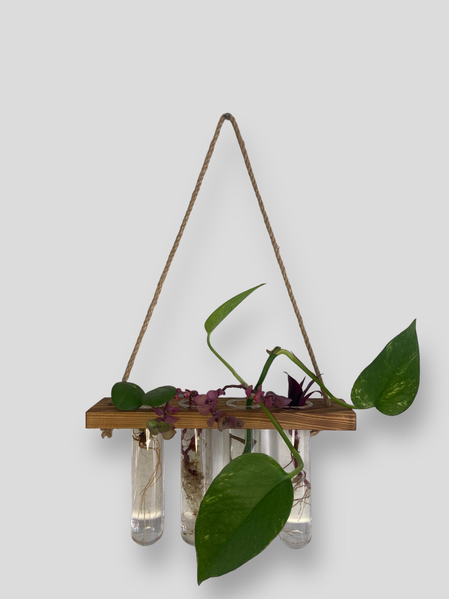 Hanging Propagation Station