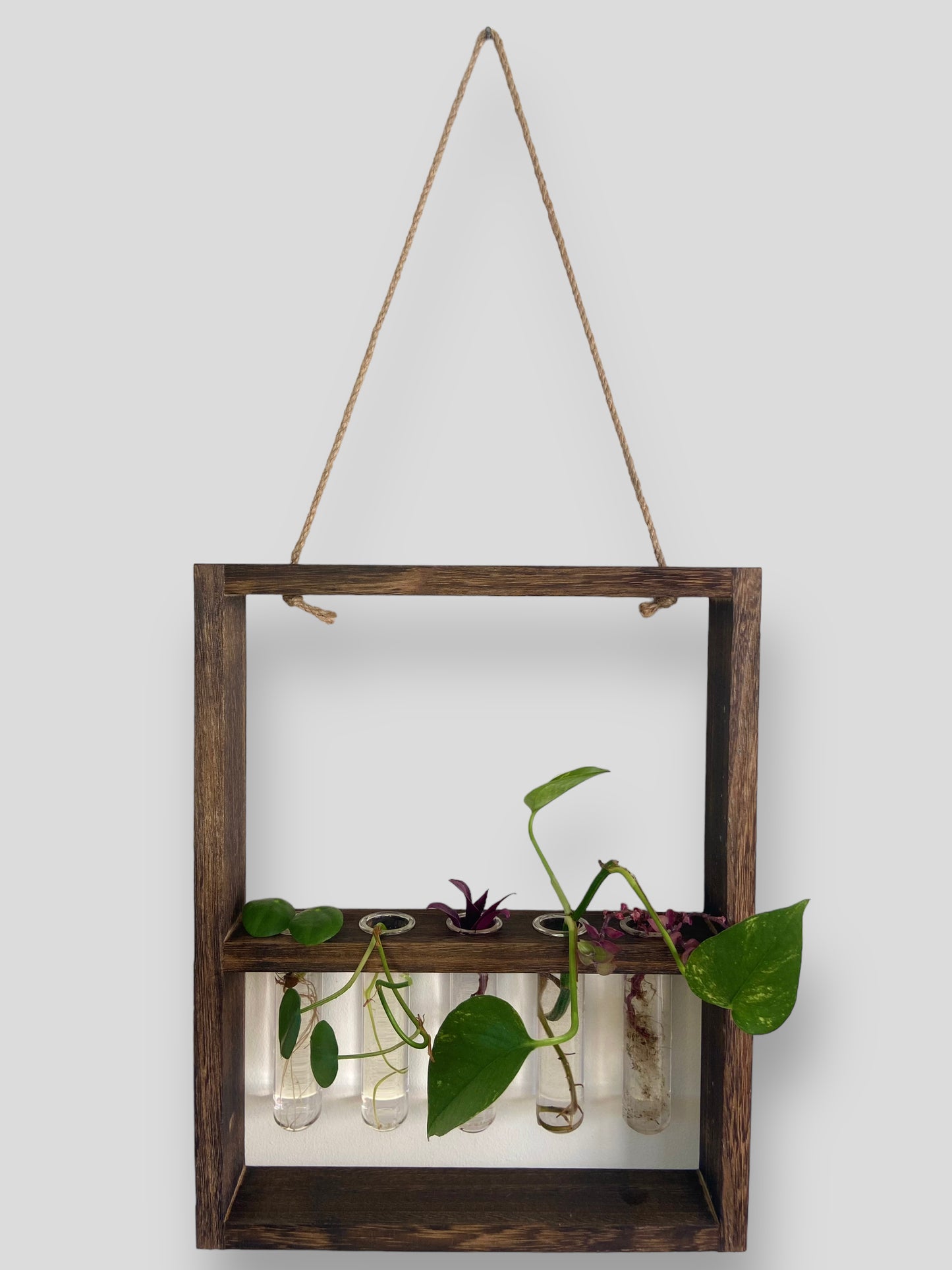 Framed Propagation Station