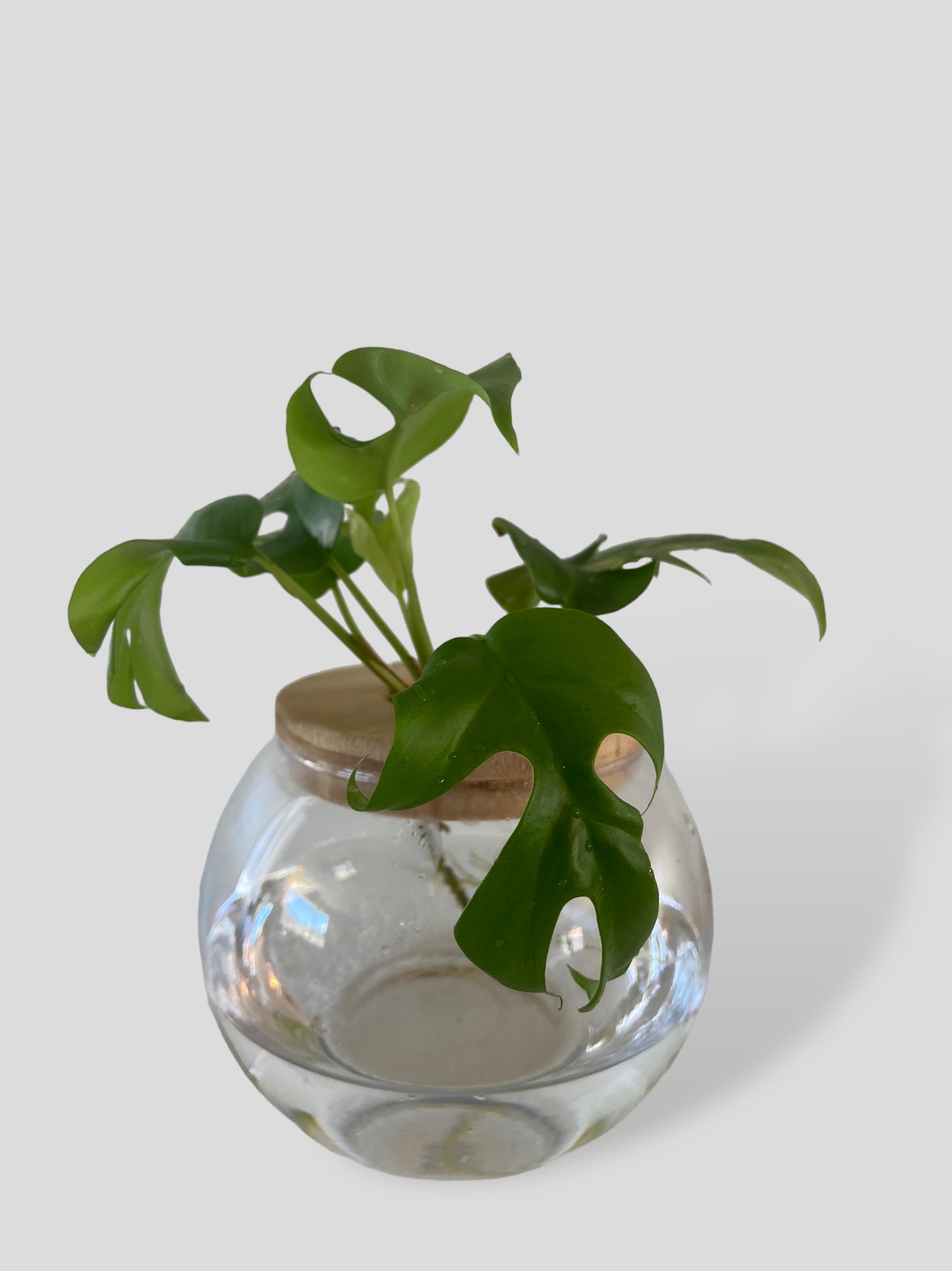 Minima in Small Sphere